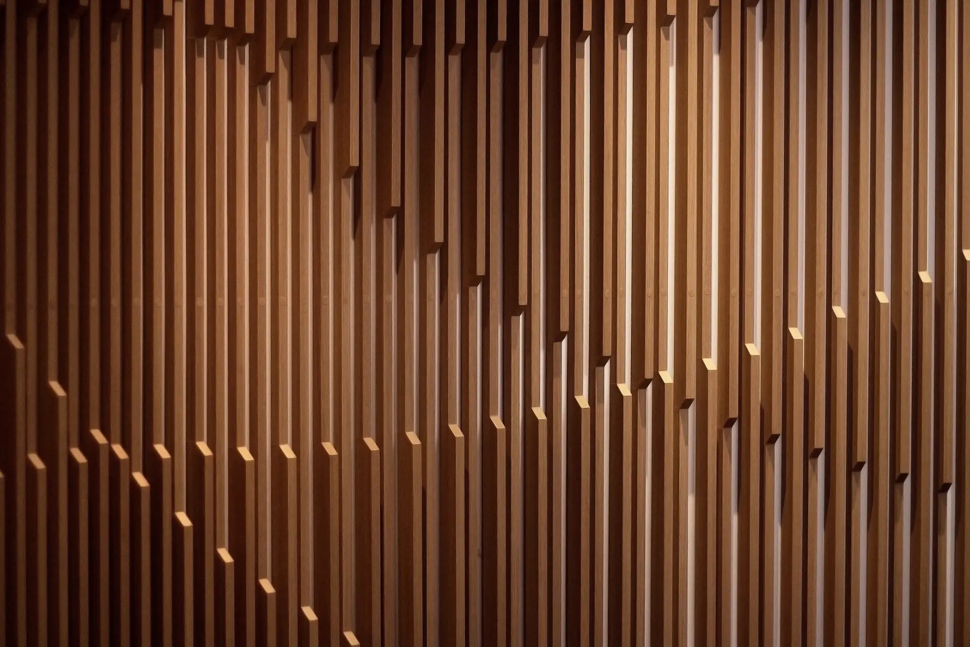 img-6.webp img-6.webp