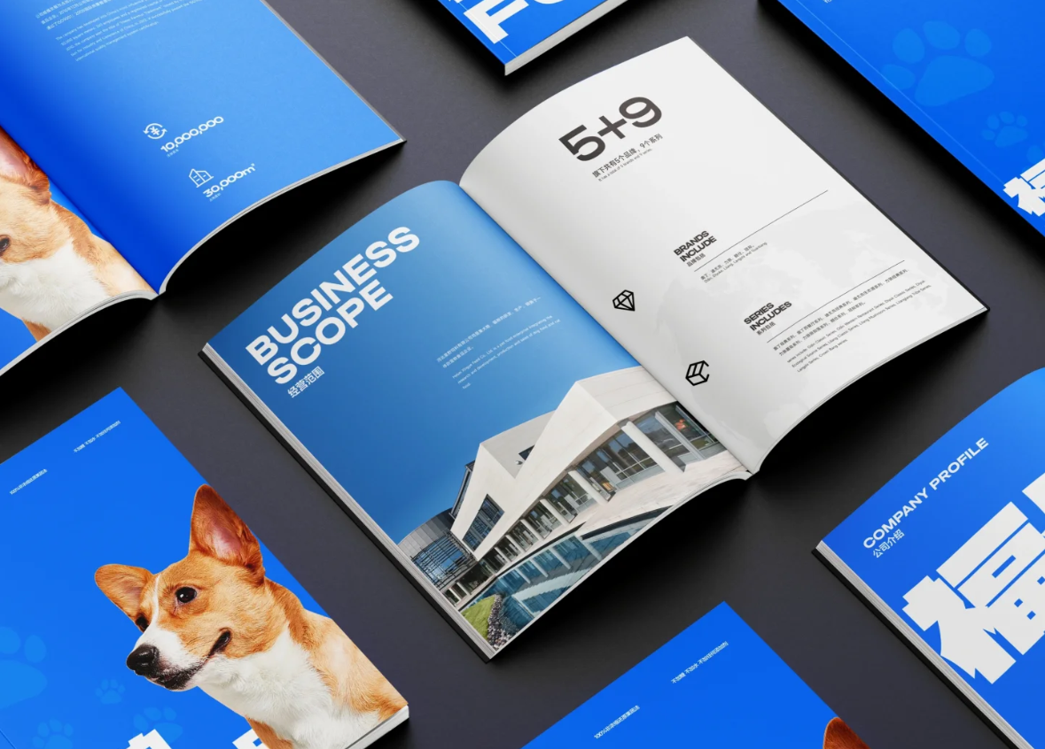 Album design - Image 2