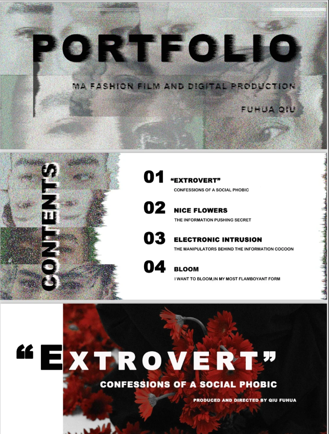 Portfolio beautification & layout - Image 4
