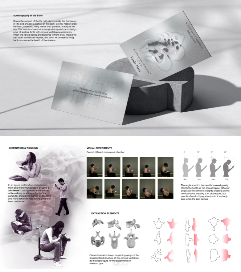 Portfolio beautification & layout - Image 3